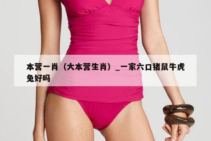 本营一肖(大本营生肖)_一家六口猪鼠牛虎兔好吗